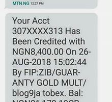 Blog9ja payment 6